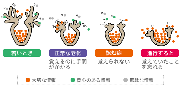 FOIL 記憶の壺 初版+quantonomics.com