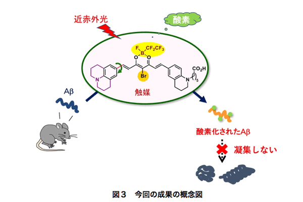 科学技術振興機 光触媒でアルツハイマー病治療の実現に一歩前進 認知症ねっと